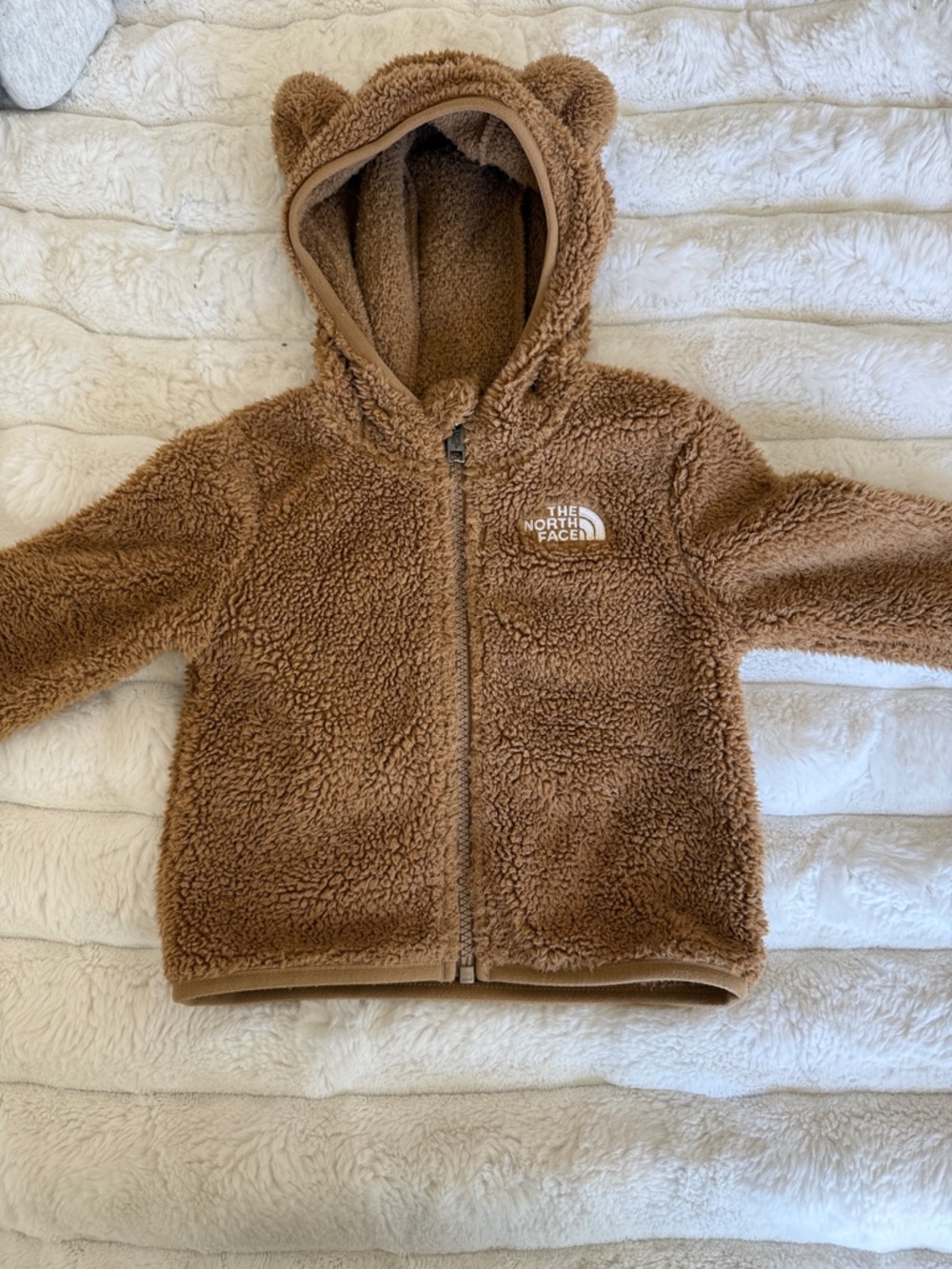 The North Face Teddy Fleece Hoodie in Brown with Bear Ears